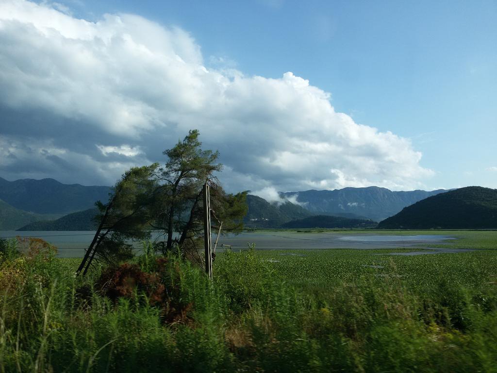 Sea View Apartment บุดวา ภายนอก รูปภาพ